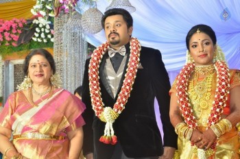 Jayachitra Son Amresh Wedding Reception - 65 of 102