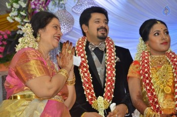 Jayachitra Son Amresh Wedding Reception - 93 of 102