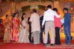 K Balachander Grand Daughter Wedding Reception - 79 of 86