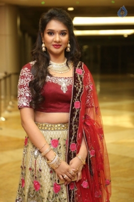 Kalamandir CMD Prasad Chalavadi Daughter Hanisha Wedding Photos - 49 of 81