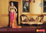 Kalamandir The Calendar 2011 - 3 of 13