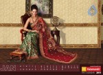 Kalamandir The Calendar 2011 - 5 of 13