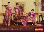 Kalamandir The Calendar 2011 - 8 of 13