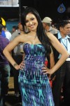 Karnataka Bulldozers VS Chennai Rhinos Match  - 77 of 129