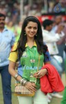 Kerala Strikers Vs Bhojpuri Dabanggs Match Photos - 71 of 183