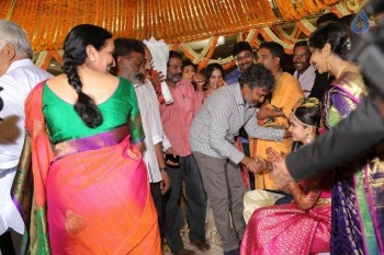Krish - Ramya Wedding Photos 4 - 13 of 164