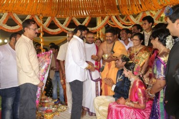 Krish - Ramya Wedding Photos 4 - 42 of 164