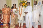 Lyricist Piraisudan Daughter Wedding Reception - 8 of 122
