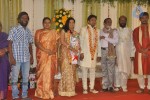 Lyricist Piraisudan Daughter Wedding Reception - 16 of 122