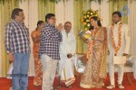 Lyricist Piraisudan Daughter Wedding Reception - 62 of 122