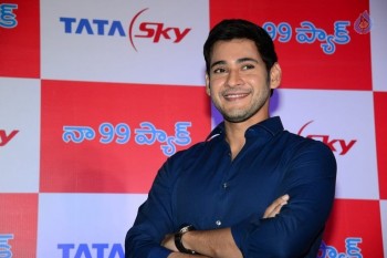Mahesh Babu at Tata Sky Success Celebrations - 24 of 42