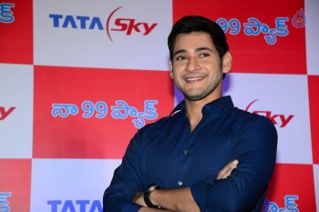 Mahesh Babu at Tata Sky Success Celebrations - 3 of 42