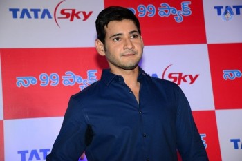 Mahesh Babu at Tata Sky Success Celebrations - 4 of 42