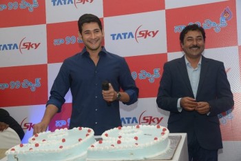 Mahesh Babu at Tata Sky Success Celebrations - 31 of 42