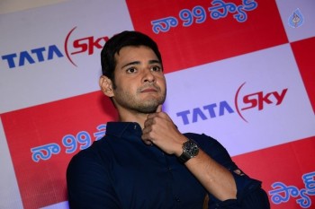 Mahesh Babu at Tata Sky Success Celebrations - 16 of 42