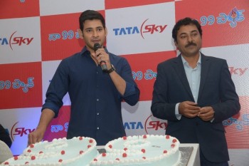 Mahesh Babu at Tata Sky Success Celebrations - 22 of 42