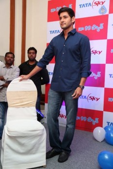 Mahesh Babu at Tata Sky Success Celebrations - 31 of 42