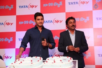 Mahesh Babu at Tata Sky Success Celebrations - 32 of 42
