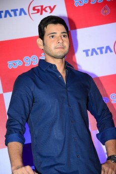 Mahesh Babu at Tata Sky Success Celebrations - 39 of 42