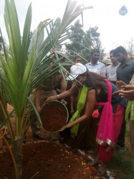 Manchu Lakshmi Haritha Haram at Sher Bashirbagh - 2 of 14