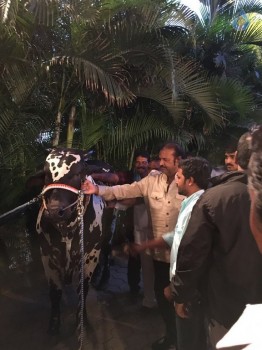 Mohan Babu visited Bull Show Event - 14 of 21