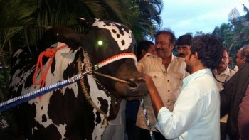 Mohan Babu visited Bull Show Event - 21 of 21
