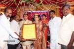 Nandamuri Mohana Krishna Daughter Marriage Photos - 14 of 249
