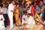 Nandamuri Mohana Krishna Daughter Marriage Photos - 217 of 249