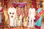 Nandamuri Mohana Krishna Daughter Marriage Photos - 224 of 249