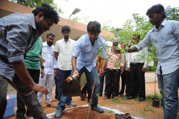 Nani and Majnu Team Participate in Haritha Haram - 1 of 10