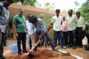 Nani and Majnu Team Participate in Haritha Haram - 10 of 10