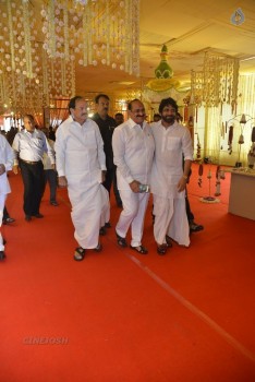 Nimmagadda Prasad Daughter Wedding 1 - 35 of 83