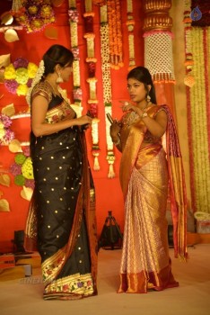 Nimmagadda Prasad Daughter Wedding 1 - 48 of 83