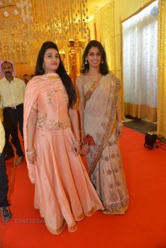 Nimmagadda Prasad Daughter Wedding 1 - 64 of 83