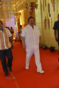 Nimmagadda Prasad Daughter Wedding 1 - 69 of 83