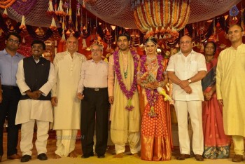 Nimmagadda Prasad Daughter Wedding 1 - 75 of 83