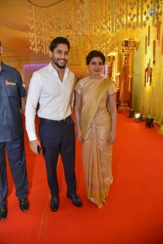 Nimmagadda Prasad Daughter Wedding Photos 2 - 22 of 78