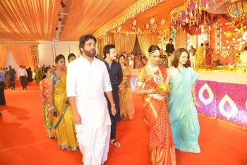 Nimmagadda Prasad Daughter Wedding Photos 2 - 41 of 78