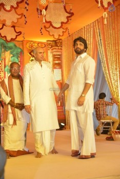 Nimmagadda Prasad Daughter Wedding Photos 2 - 46 of 78