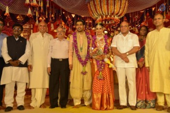 Nimmagadda Prasad Daughter Wedding Photos 2 - 56 of 78