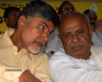 NTR and Political Leaders at Chandrababu Indefinite Fast - 25 of 74