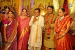 Nukarapu Suryaprakash Rao Daughter Grishma Wedding Photos - 37 of 136