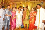 Nukarapu Suryaprakash Rao Daughter Grishma Wedding Photos - 96 of 136
