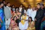 Palam Silks Daughter Reception Photos - 7 of 42