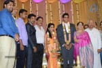 Palam Silks Daughter Reception Photos - 10 of 42