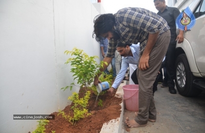 Pawan Kalyan Accepts Haritha Haram Challenge - 2 of 8