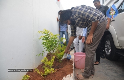 Pawan Kalyan Accepts Haritha Haram Challenge - 7 of 8