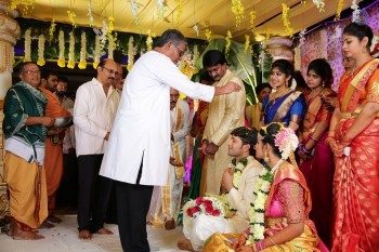 Prabhu Teju and Varsha Wedding Reception Photos - 52 of 58