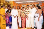 Producer Anbalaya Prabhakaran Daughter Wedding - 26 of 26