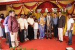 Producer Anbalaya Prabhakaran Daughter Wedding - 15 of 26